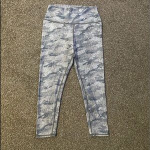 Evolution and Creation